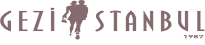Vizyon Grup